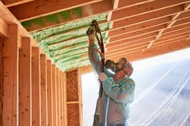 Eco-Friendly or Green Insulation Solutions in Hillsboro, ND